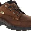 Irish Setter 3864
